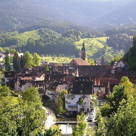 Ferienwohnung Am Hauskopf Oppenau Kültér fotó