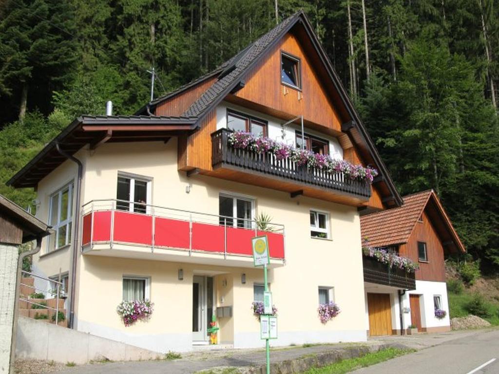 Ferienwohnung Am Hauskopf Oppenau Kültér fotó